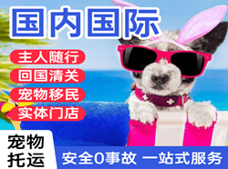 瑷珲航空快递国际宠物托运 【国